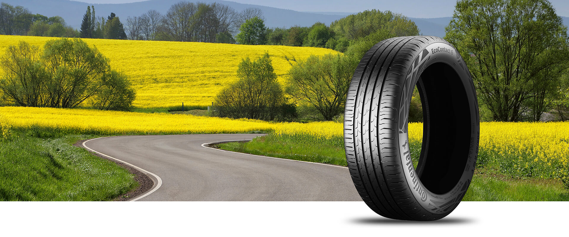 Sommerreifen-continental